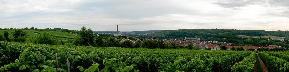 Schwäbischer Albverein | Ortsgruppe Gemmrigheim
